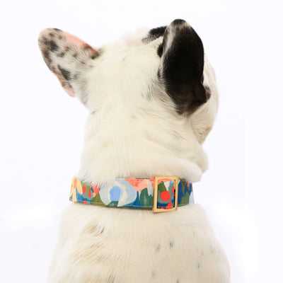 Wildflower Dog Collar, Gold